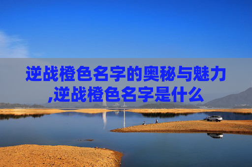 逆战橙色名字的奥秘与魅力,逆战橙色名字是什么