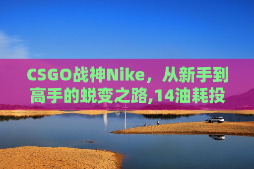 CSGO战神Nike，从新手到高手的蜕变之路,14油耗投多少钱一公里