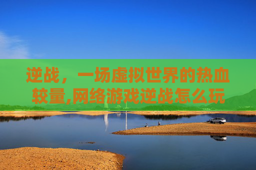 逆战，一场虚拟世界的热血较量,网络游戏逆战怎么玩