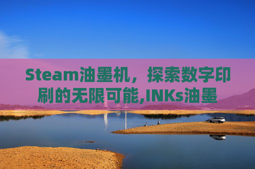 Steam油墨机，探索数字印刷的无限可能,INKs油墨