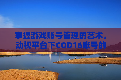掌握游戏账号管理的艺术，动视平台下COD16账号的改绑技巧,cod16注册动视账号