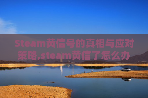 Steam黄信号的真相与应对策略,steam黄信了怎么办