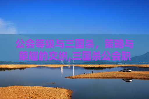 公会等级与三国杀，策略与荣耀的交织,三国杀公会职位名称