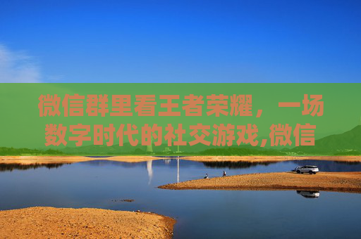 微信群里看王者荣耀，一场数字时代的社交游戏,微信群怎么看王者荣耀排行榜