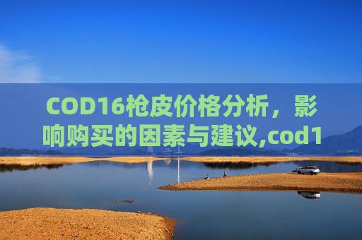 COD16枪皮价格分析，影响购买的因素与建议,cod16枪配件