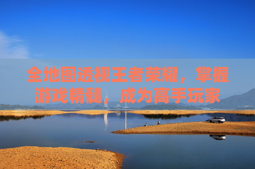 全地图透视王者荣耀，掌握游戏精髓，成为高手玩家