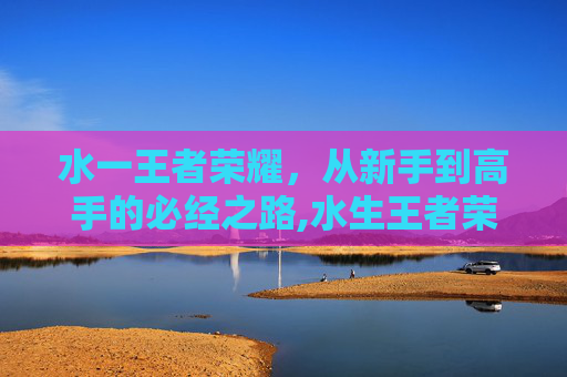 水一王者荣耀，从新手到高手的必经之路,水生王者荣耀