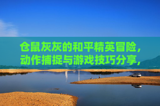 仓鼠灰灰的和平精英冒险，动作捕捉与游戏技巧分享,m416仓鼠灰灰