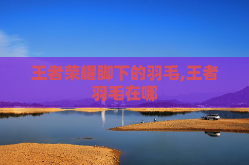 王者荣耀脚下的羽毛,王者羽毛在哪