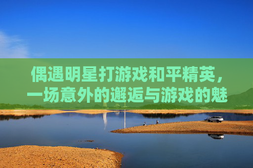 偶遇明星打游戏和平精英，一场意外的邂逅与游戏的魅力,明星打游戏的综艺叫什么