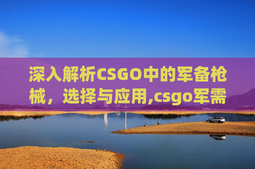 深入解析CSGO中的军备枪械，选择与应用,csgo军需