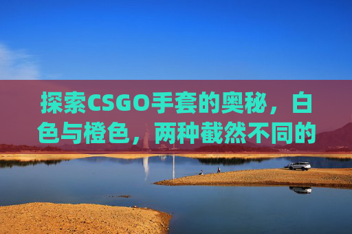 探索CSGO手套的奥秘，白色与橙色，两种截然不同的风格,白色和橙色csgo手套一样吗