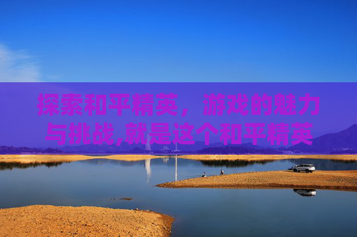 探索和平精英，游戏的魅力与挑战,就是这个和平精英英文