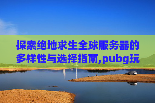 探索绝地求生全球服务器的多样性与选择指南,pubg玩哪个服比较好