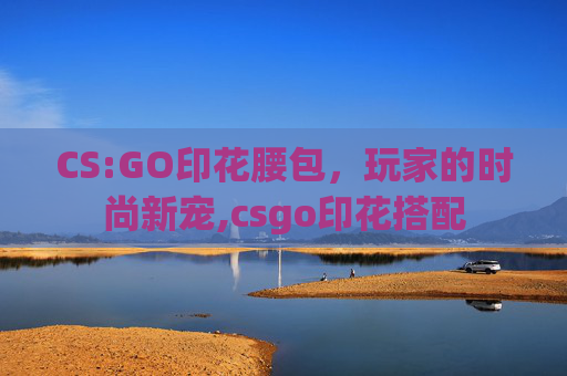 CS:GO印花腰包，玩家的时尚新宠,csgo印花搭配