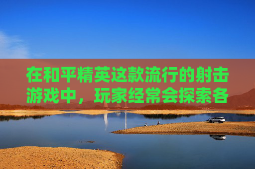 在和平精英这款流行的射击游戏中，玩家经常会探索各种获取稀有物品的方法。今天，我们将探讨如何获得游戏中的神秘黑猫，这不仅仅是一个有趣的挑战，更是对玩家策略和技巧的一种考验。,和平精英神秘黑猫怎么得到的