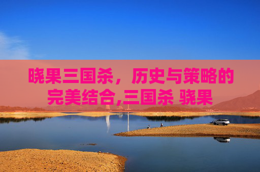 晓果三国杀，历史与策略的完美结合,三国杀 骁果