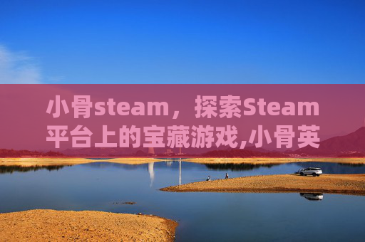 小骨steam，探索Steam平台上的宝藏游戏,小骨英雄杀手