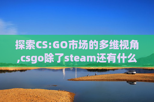 探索CS:GO市场的多维视角,csgo除了steam还有什么平台