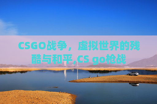 CSGO战争，虚拟世界的残酷与和平,CS go枪战