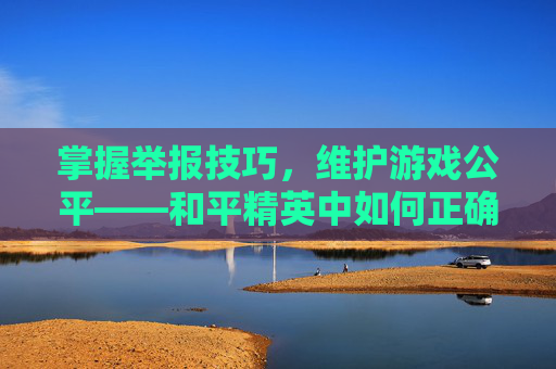 掌握举报技巧，维护游戏公平——和平精英中如何正确举报违规行为,和平精英游戏内怎么举报队友