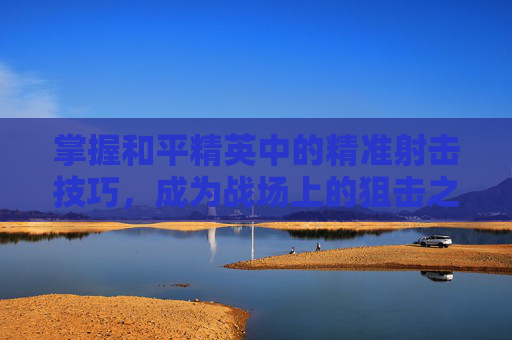掌握和平精英中的精准射击技巧，成为战场上的狙击之王,和平精英炮弹怎么用