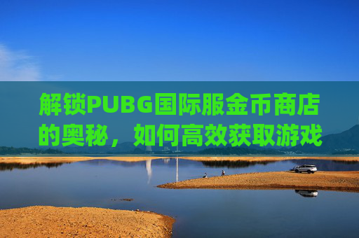 解锁PUBG国际服金币商店的奥秘，如何高效获取游戏内货币,Pubg国际服怎么赠送金币