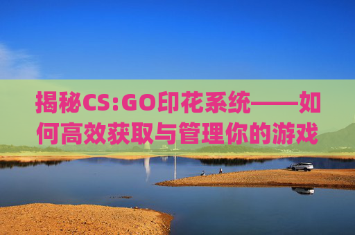 揭秘CS:GO印花系统——如何高效获取与管理你的游戏成就,csgo印花会消失吗