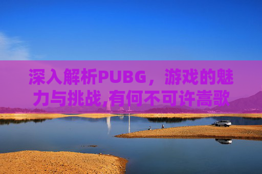 深入解析PUBG，游戏的魅力与挑战,有何不可许嵩歌曲
