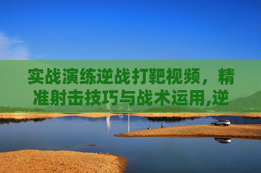 实战演练逆战打靶视频，精准射击技巧与战术运用,逆战靶场入口在哪里