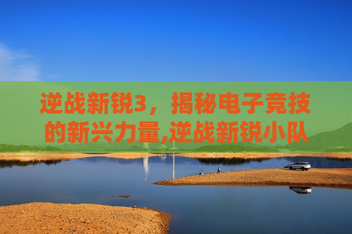逆战新锐3，揭秘电子竞技的新兴力量,逆战新锐小队