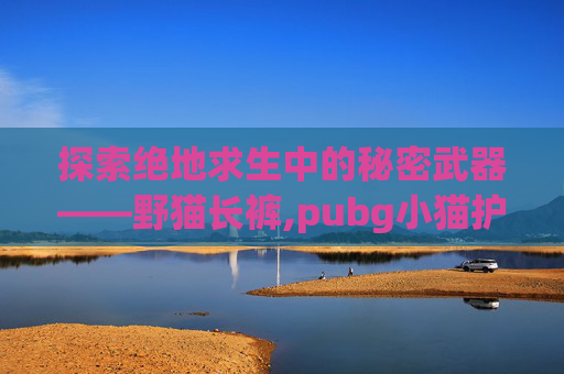 探索绝地求生中的秘密武器——野猫长裤,pubg小猫护体T恤