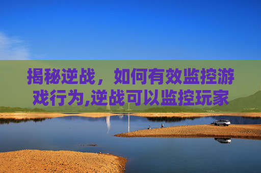 揭秘逆战，如何有效监控游戏行为,逆战可以监控玩家吗