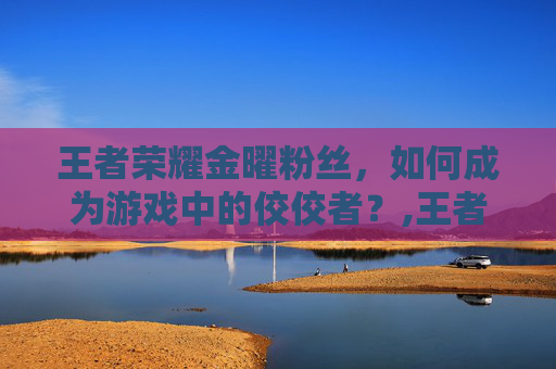 王者荣耀金曜粉丝，如何成为游戏中的佼佼者？,王者荣耀金曜粉丝叫什么