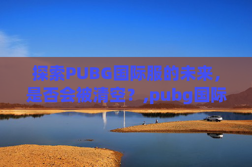探索PUBG国际服的未来，是否会被清空？,pubg国际服常见问题