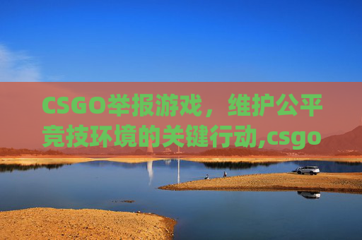 CSGO举报游戏，维护公平竞技环境的关键行动,csgo举报奖励机制