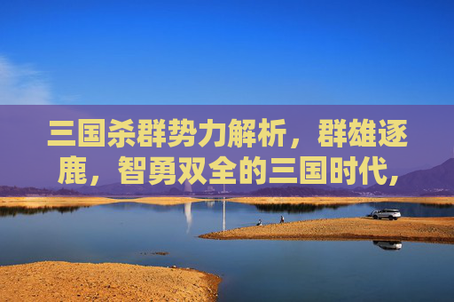 三国杀群势力解析，群雄逐鹿，智勇双全的三国时代,三国杀群势力是什么武将