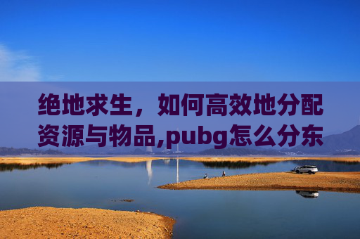 绝地求生，如何高效地分配资源与物品,pubg怎么分东西