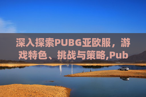 深入探索PUBG亚欧服，游戏特色、挑战与策略,Pubg亚服pubg亚服