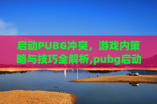 启动PUBG冲突，游戏内策略与技巧全解析,pubg启动崩溃如何解决