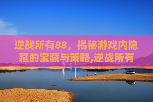 逆战所有88，揭秘游戏内隐藏的宝藏与策略,逆战所有僚机一览表