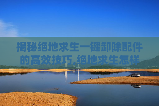 揭秘绝地求生一键卸除配件的高效技巧,绝地求生怎样一键卸下配件