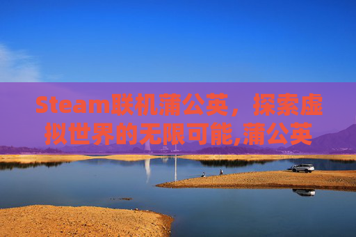 Steam联机蒲公英，探索虚拟世界的无限可能,蒲公英联机版