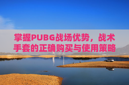 掌握PUBG战场优势，战术手套的正确购买与使用策略,战术手套绝地求生