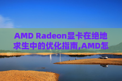 AMD Radeon显卡在绝地求生中的优化指南,AMD怎么调出滤镜