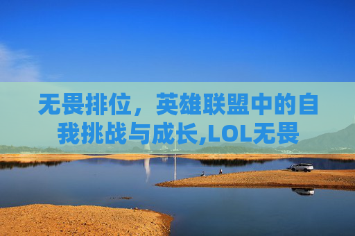无畏排位，英雄联盟中的自我挑战与成长,LOL无畏