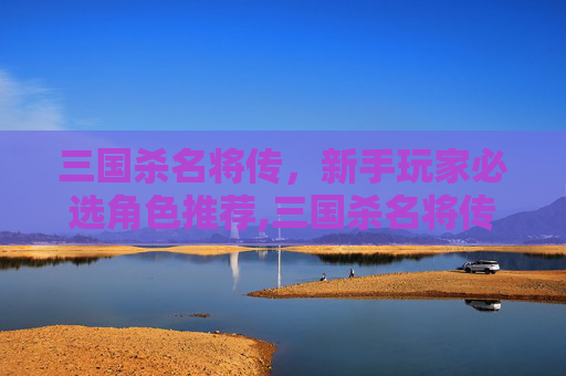 三国杀名将传，新手玩家必选角色推荐,三国杀名将传推荐阵容