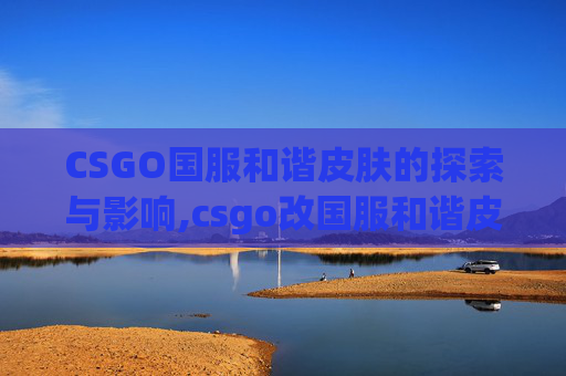 CSGO国服和谐皮肤的探索与影响,csgo改国服和谐皮肤会封号吗
