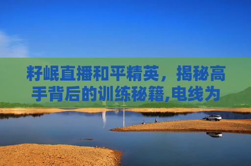 籽岷直播和平精英，揭秘高手背后的训练秘籍,电线为什么是两根