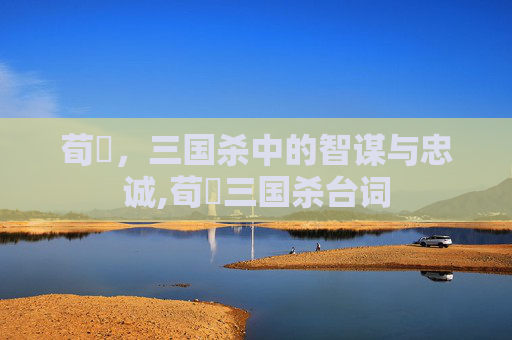 荀彧，三国杀中的智谋与忠诚,荀彧三国杀台词